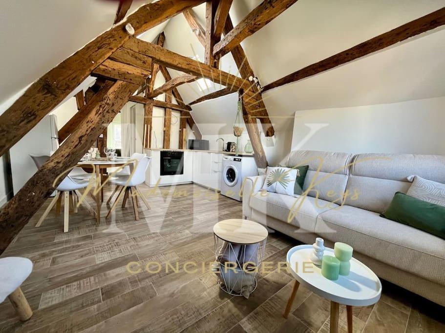 Le Cosy - Hyper Centre Ville Sens Buitenkant foto
